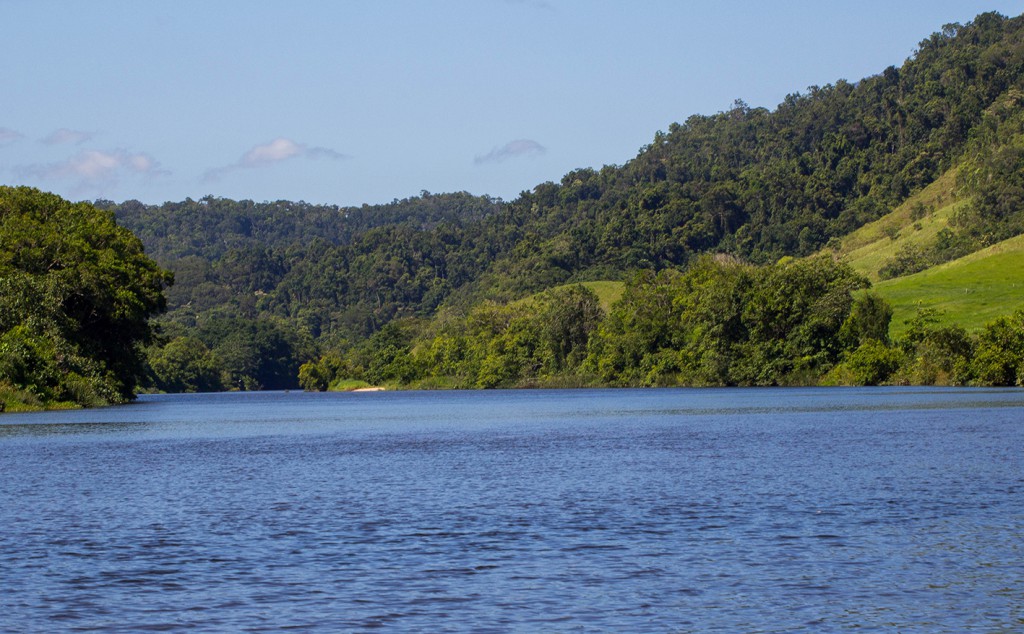 3 Daintree river