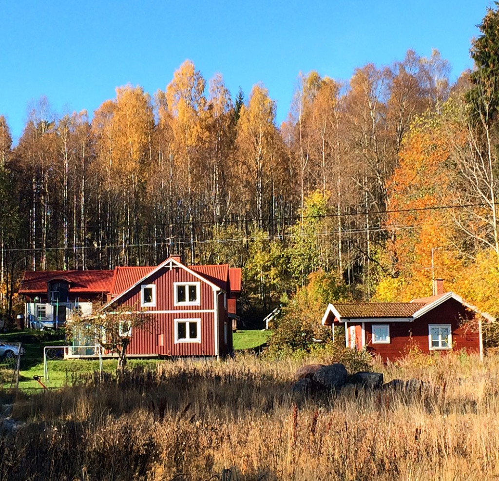 Familjen Thunberg säljer sitt älskade hus. Foto: Privat