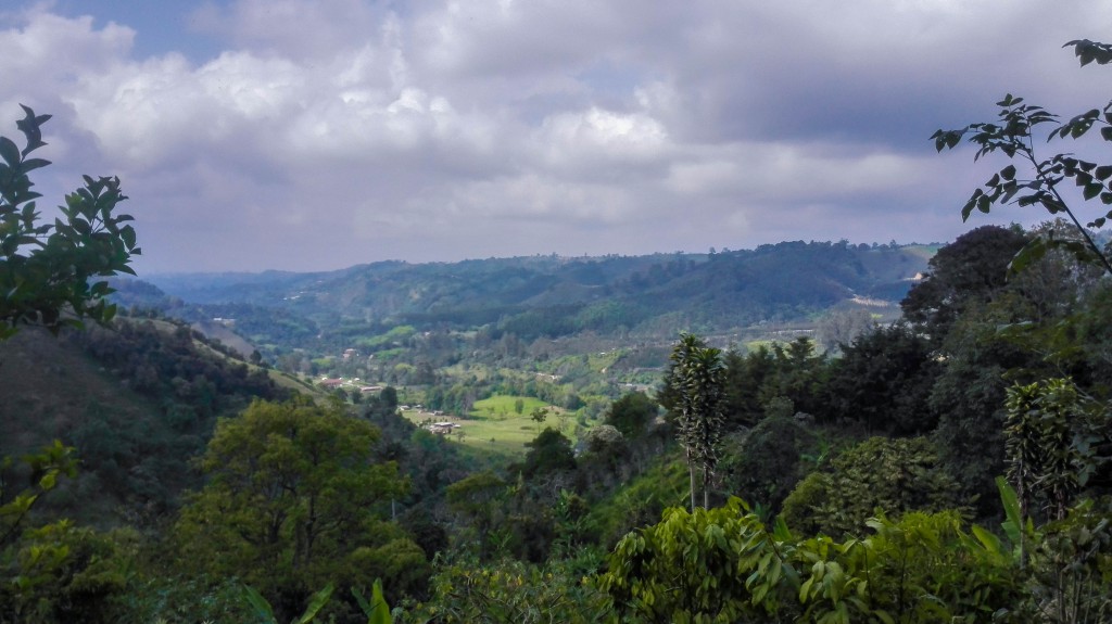 View from top of coffee house. Photo: Pernilla Rundquist